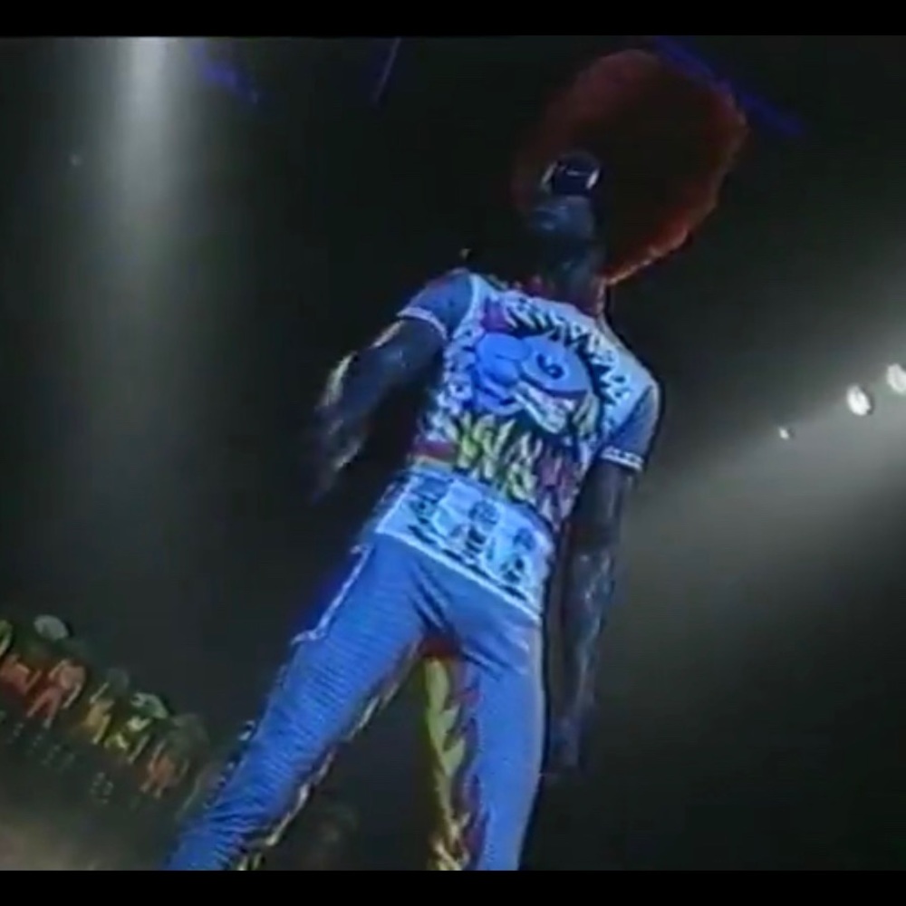 Walter Van Beirendonck 
Wild & Lethal Trash W&LT
Cycling shirt and pants - Picture 14 of 16